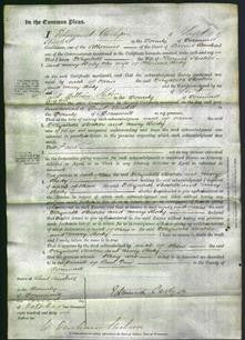 Court of Common Pleas - Elizabeth Stocker and Mary Body-Original Ancestry