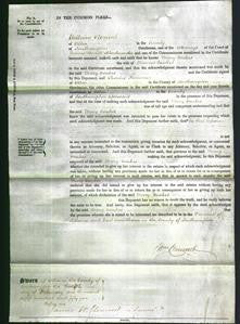 Court of Common Pleas - Mary Voakes-Original Ancestry