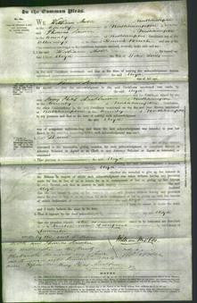 Court of Common Pleas - Eliza Jones-Original Ancestry