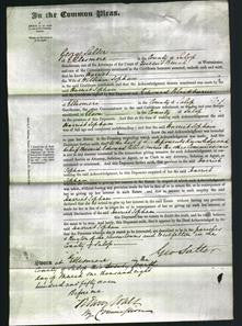 Court of Common Pleas - Harriet Topham-Original Ancestry
