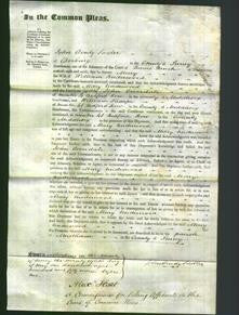 Court of Common Pleas - Mary Underwood-Original Ancestry