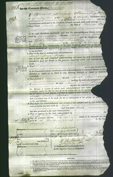 Court of Common Pleas - Sarah Ann Brooke-Original Ancestry