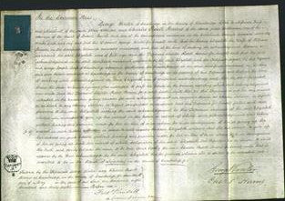 Court of Common Pleas - Elizabeth Parson-Original Ancestry