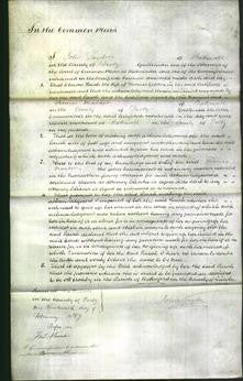 Court of Common Pleas - Sarah Gralton-Original Ancestry