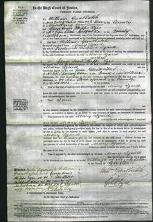 Court of Common Pleas - Mary Szard-Original Ancestry