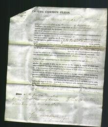 Court of Common Pleas - Caroline Hampton-Original Ancestry