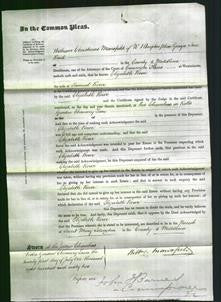 Court of Common Pleas - Elizabeth Rowe-Original Ancestry