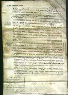 Court of Common Pleas - Elizabeth Stocker and Mary Body-Original Ancestry