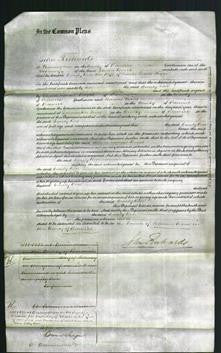 Court of Common Pleas - Emily Rose Higgs-Original Ancestry