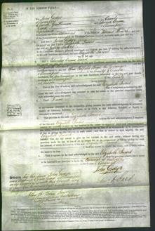 Court of Common Pleas - Elizabeth Innes-Original Ancestry