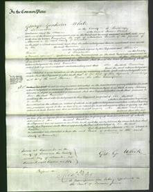 Court of Common Pleas - Emmeline Parnell-Original Ancestry