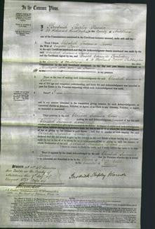 Court of Common Pleas - Elizabeth Susanna Livois-Original Ancestry