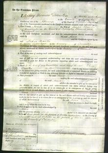 Court of Common Pleas - Anna Brooks-Original Ancestry