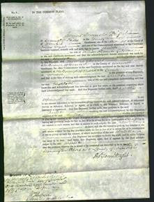 Court of Common Pleas - Charlotte Gibbons-Original Ancestry