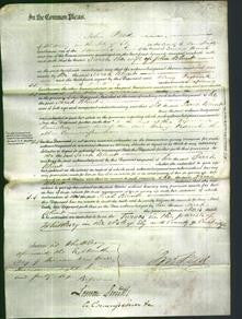 Court of Common Pleas - Sarah Blunt-Original Ancestry