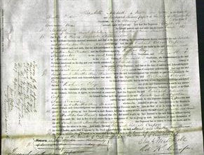 Court of Common Pleas - Sarah Oldaker and Martha Ann Eleanor Stevenson-Original Ancestry