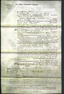 Court of Common Pleas - Mary Ann Wootton-Original Ancestry