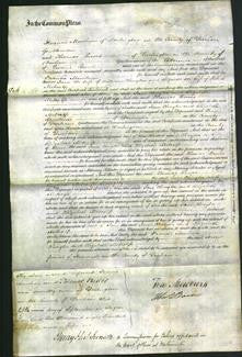 Court of Common Pleas - Jane Chaytor, Elizabeth Metcalfe-Original Ancestry