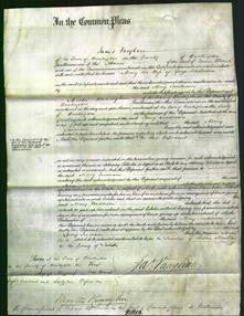 Court of Common Pleas - Mary Sanderson-Original Ancestry