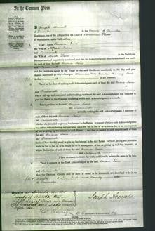 Court of Common Pleas - Emma Jane Jones-Original Ancestry