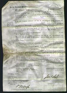 Court of Common Pleas - Rosa Sophia Carter-Original Ancestry