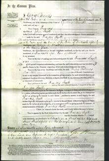 Court of Common Pleas - Frances Scott-Original Ancestry