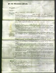 Court of Common Pleas - Mary Frances Dare-Original Ancestry