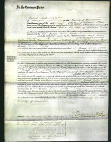 Court of Common Pleas - Ellen Davies-Original Ancestry