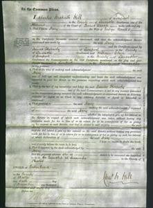 Court of Common Pleas - Mary Banks-Original Ancestry