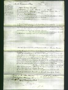 Court of Common Pleas - Louisa Downes-Original Ancestry