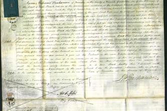 Court of Common Pleas - Sarah Over-Original Ancestry