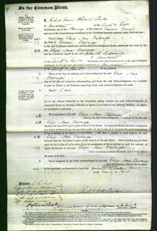 Court of Common Pleas - Eliza Ann Fullager-Original Ancestry