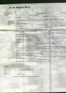 Court of Common Pleas - Catherine Elizabeth Fenton-Original Ancestry