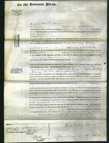 Court of Common Pleas - Margaret Buckwell-Original Ancestry