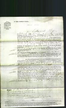 Court of Common Pleas - Rosamond Dickinson and Ann Pepperaine-Original Ancestry