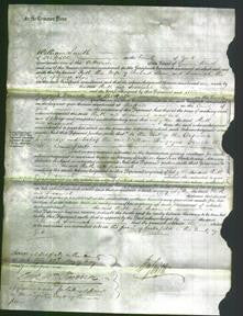 Court of Common Pleas - Ruth Shaw and Susannah Shaw-Original Ancestry