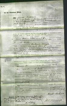 Court of Common Pleas - Hannah Kirk-Original Ancestry