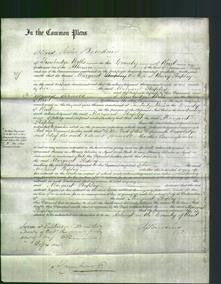 Court of Common Pleas - Margaret Stapley-Original Ancestry