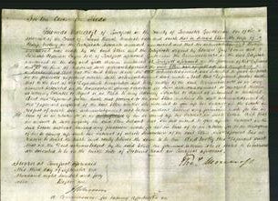 Court of Common Pleas - Ellen Molloy-Original Ancestry