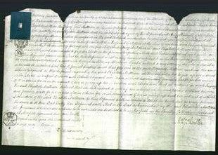 Court of Common Pleas - Elizabeth Matteson-Original Ancestry