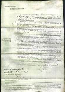 Court of Common Pleas - Celina Flower-Original Ancestry