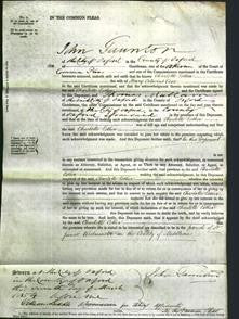 Court of Common Pleas - Charlotte Esther Coxe-Original Ancestry