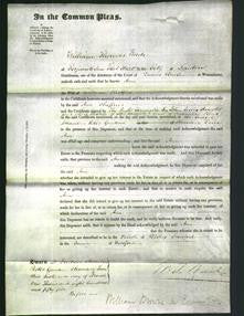 Court of Common Pleas - Ann Cheffins-Original Ancestry