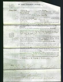 Court of Common Pleas - Ann Barwick-Original Ancestry
