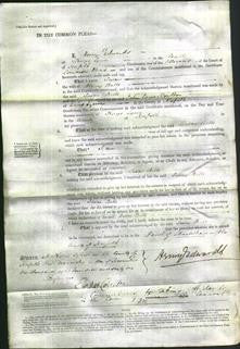 Court of Common Pleas - Susan Betts-Original Ancestry