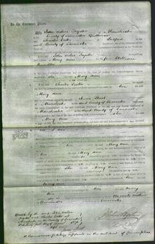Court of Common Pleas - Mary Ann Hamilton-Original Ancestry