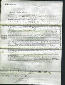 Court of Common Pleas - Elizabeth Culliford-Original Ancestry