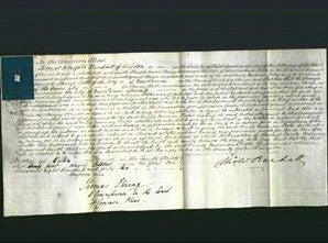 Court of Common Pleas - Emily Newman Foster-Original Ancestry