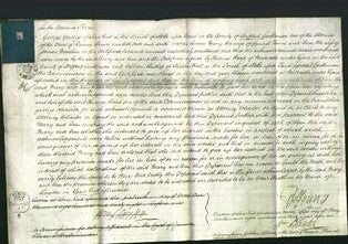 Court of Common Pleas - Mary Tams and Ann Machin-Original Ancestry