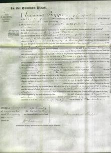 Court of Common Pleas - Catherine Elizabeth Fenton-Original Ancestry